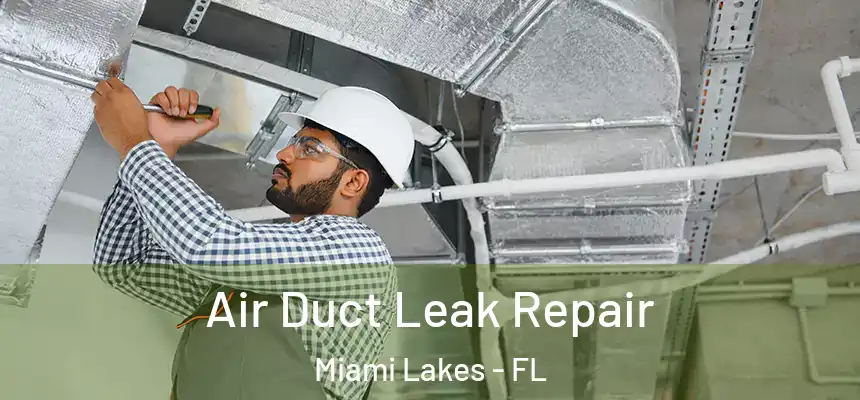  Air Duct Leak Repair Miami Lakes - FL