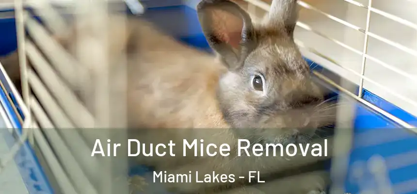 Air Duct Mice Removal Miami Lakes - FL