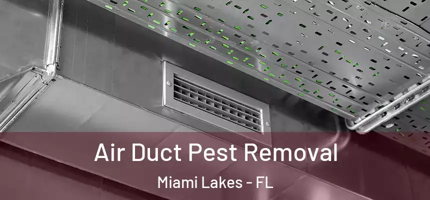 Air Duct Pest Removal Miami Lakes - FL