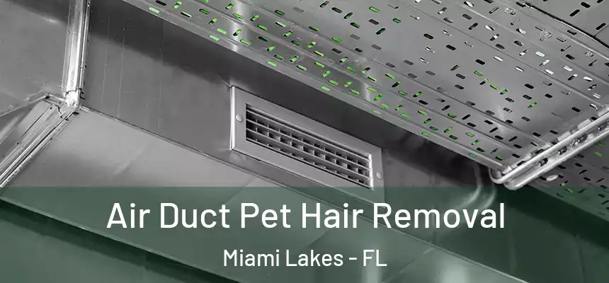  Air Duct Pet Hair Removal Miami Lakes - FL