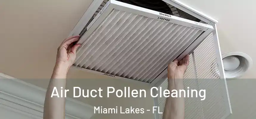  Air Duct Pollen Cleaning Miami Lakes - FL