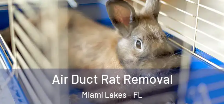 Air Duct Rat Removal Miami Lakes - FL