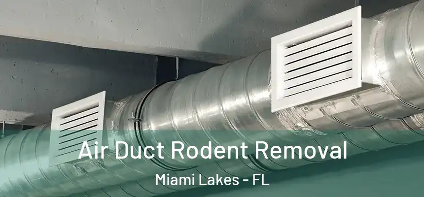 Air Duct Rodent Removal Miami Lakes - FL