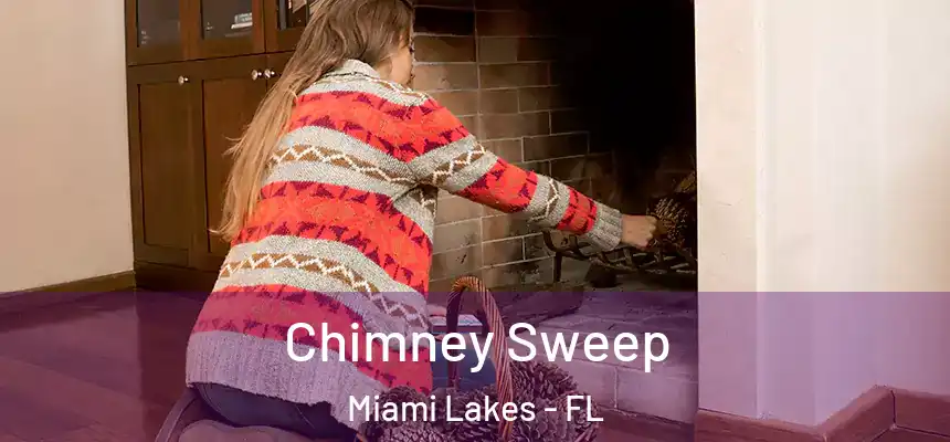 Chimney Sweep Miami Lakes - FL