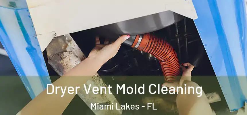 Dryer Vent Mold Cleaning Miami Lakes - FL
