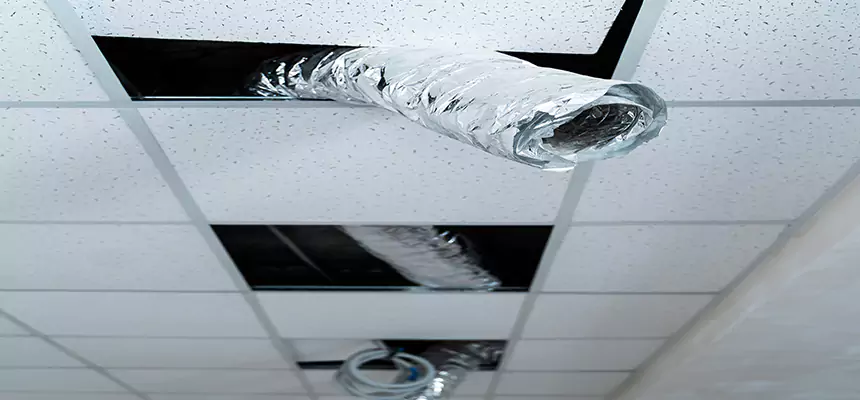 Our Air Duct Pet Hair Removal Services in Miami Lakes, FL