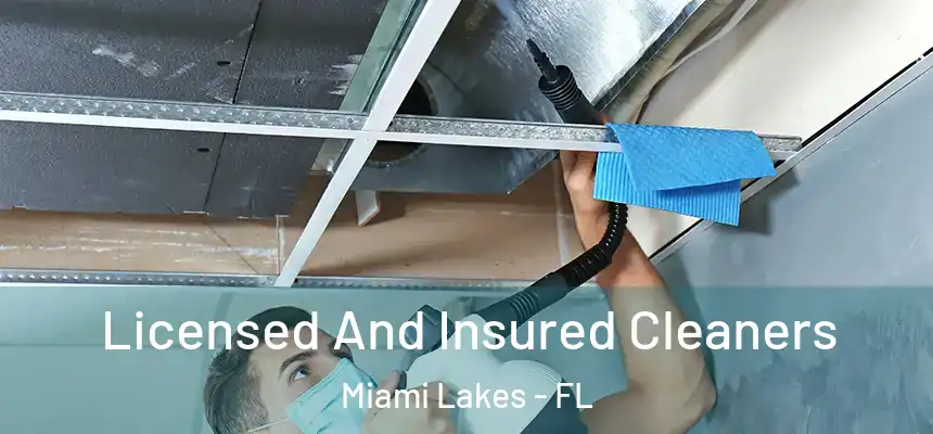 Licensed And Insured Cleaners Miami Lakes - FL