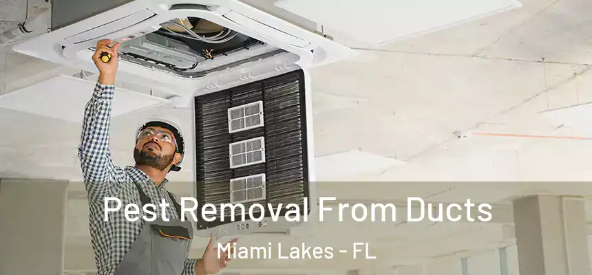 Pest Removal From Ducts Miami Lakes - FL
