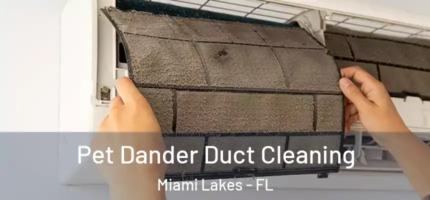 Pet Dander Duct Cleaning Miami Lakes - FL