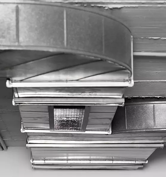 Professional Air Duct Pest Removal in Miami Lakes, FL