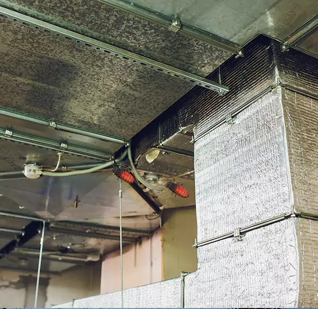 Why Homeowners & Businesses Trust Us in Miami Lakes, FL?