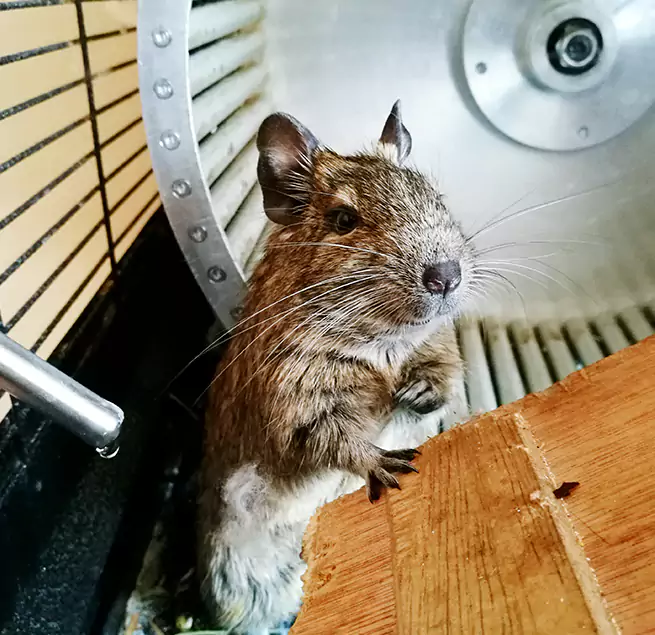 Why Homeowners & Businesses Trust Us Miami Lakes, FL?