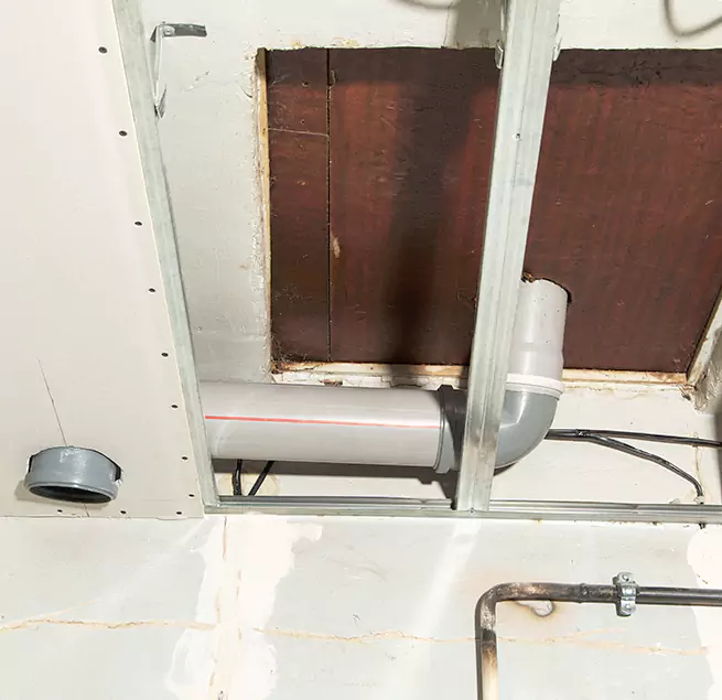 Why Homeowners & Businesses Trust Us in Miami Lakes, FL?