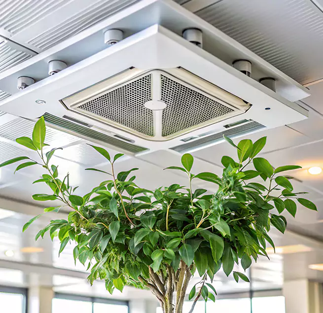 Why Homeowners & Businesses Trust Us in Miami Lakes, FL?