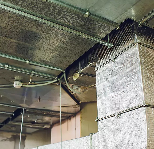 Why Homeowners & Businesses Trust Us in Miami Lakes, FL?